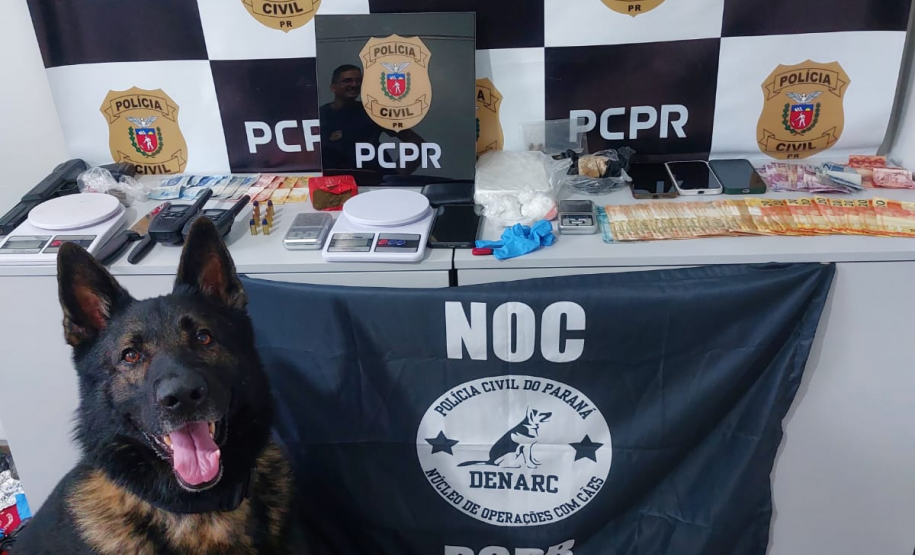 PCPR e PMPR apreendem drogas e prendem homem em São Mateus do Sul