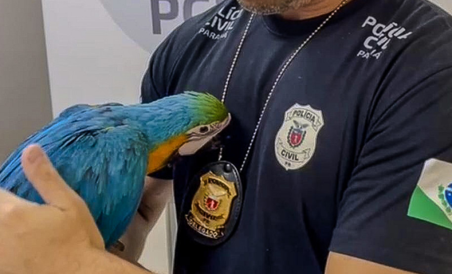 PCPR reforça importância do combate a maus-tratos aos animais