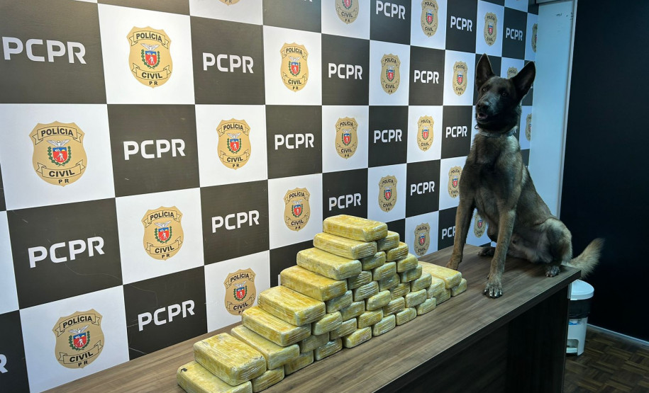 PCPR apreende 41,2 quilos de crack em Ponta Grossa
