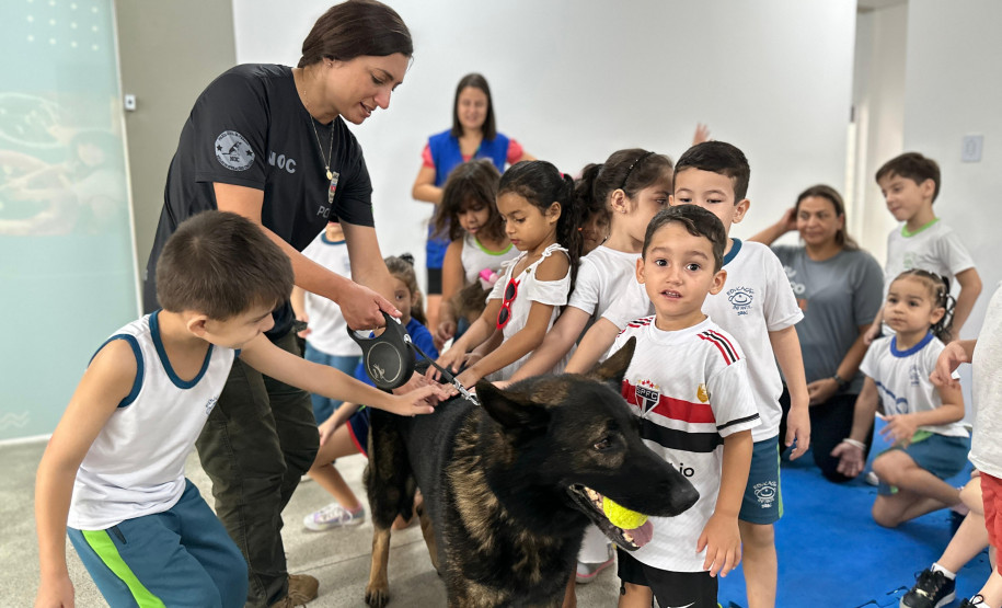 PCPR na Comunidade leva serviços para mais de 3,2 mil pessoas em Paranaguá, Palmas e Curitiba