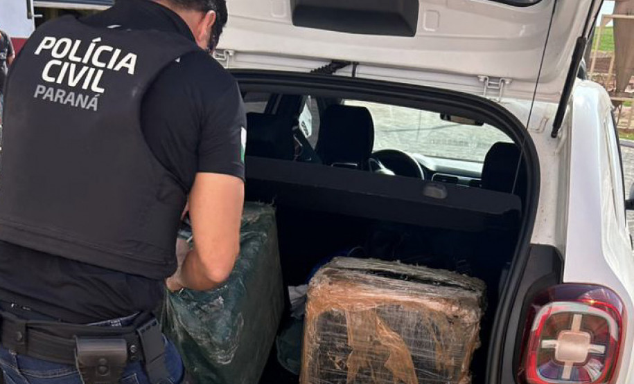 PCPR incinera mais de meia tonelada de drogas em Cidade Gaúcha 