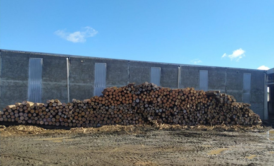 PCPR, PMPR e Receita Estadual deflagram operação em madeireiras em Inácio Martins