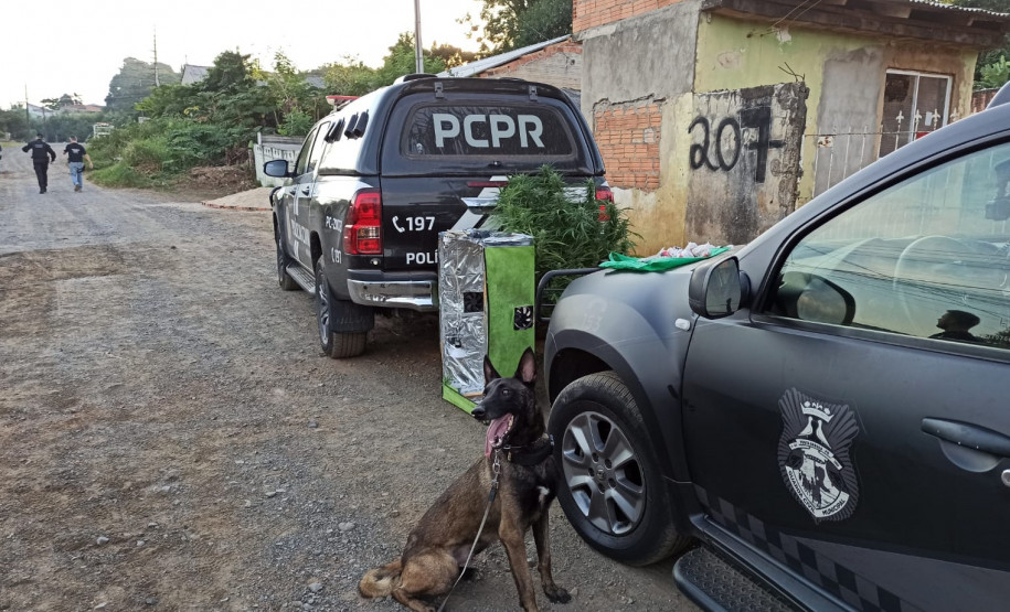 PCPR prende três homens em flagrante por tráfico de drogas em Ponta Grossa