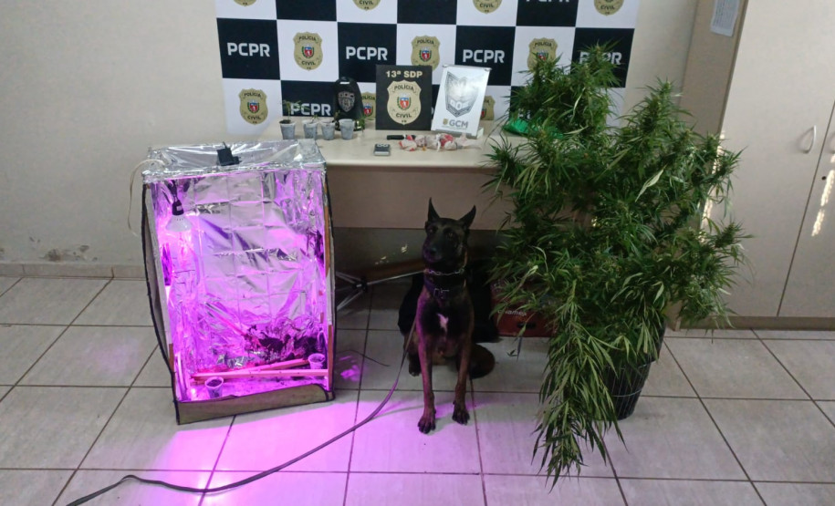 PCPR prende três homens em flagrante por tráfico de drogas em Ponta Grossa