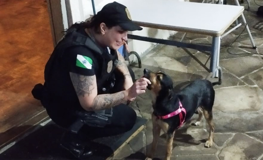 Com 104 agentes e muita tecnologia, forças de segurança do PR seguem apoiando o RS