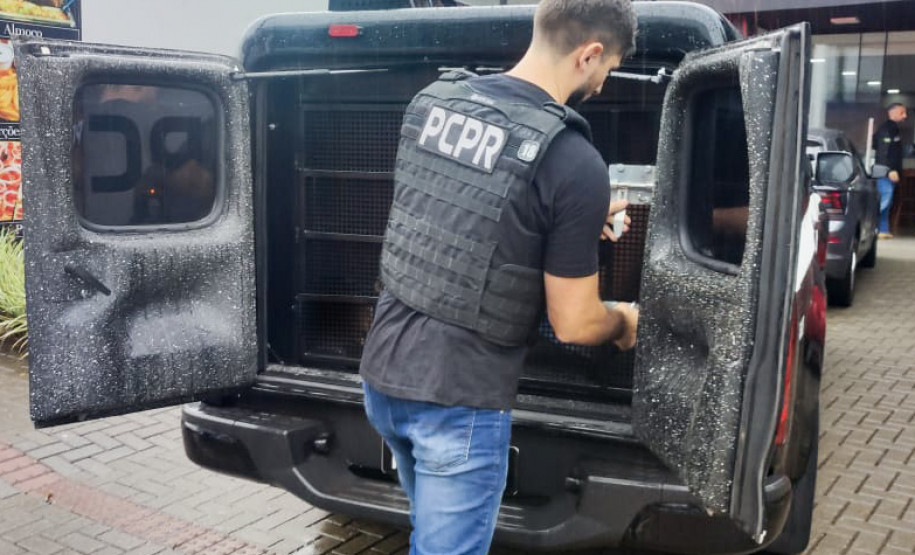 PCPR prende casal suspeito de homicídio qualificado em Francisco Beltrão