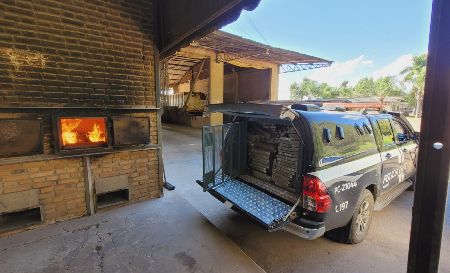 PCPR incinera 1,5 tonelada de maconha em Tibagi