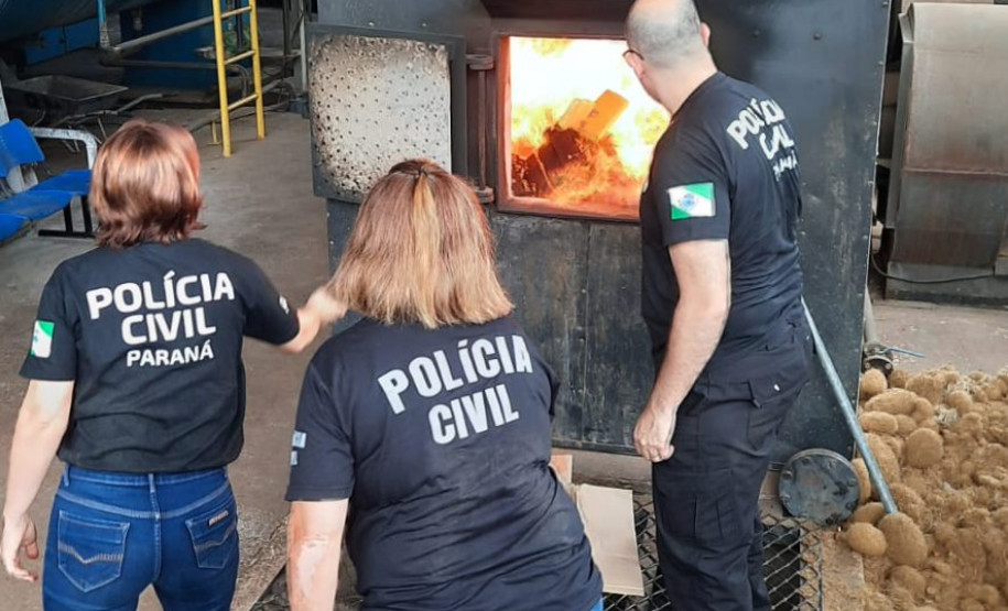 PCPR incinera 1,5 tonelada de maconha em Tibagi