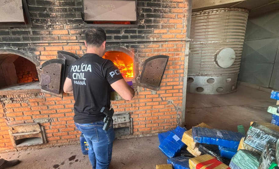 PCPR incinera uma tonelada de maconha em Icaraíma