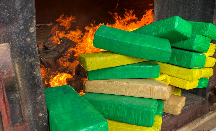 PCPR incinera 977 quilos de drogas em Palmeira