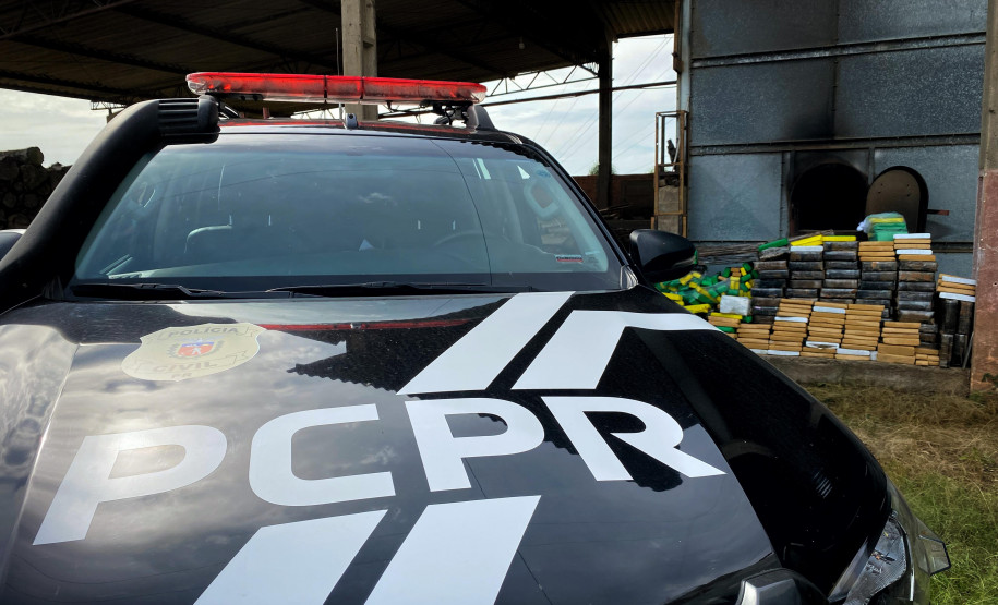 PCPR incinera 977 quilos de drogas em Palmeira