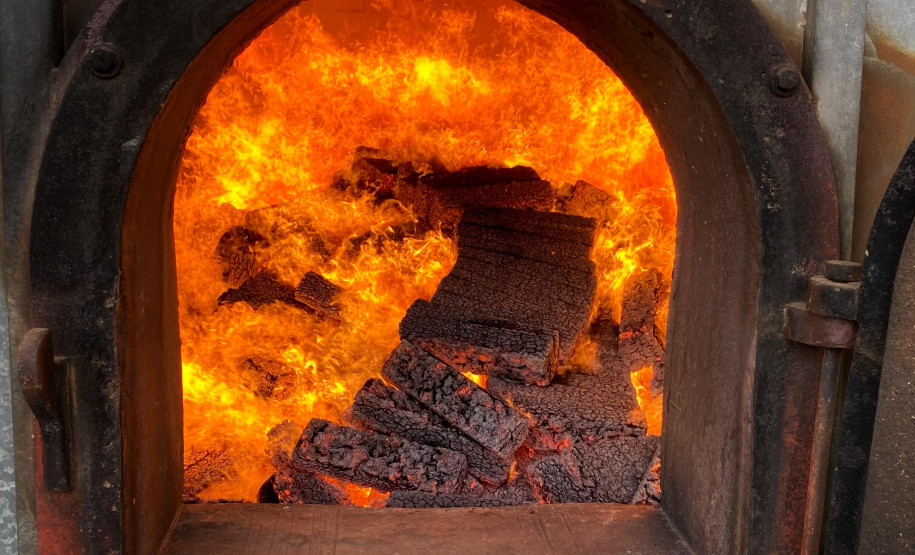 PCPR incinera 977 quilos de drogas em Palmeira