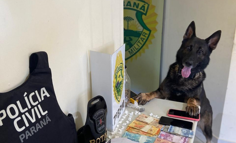 PCPR e PMPR prendem homem em flagrante por tráfico de drogas em Nova Olímpia