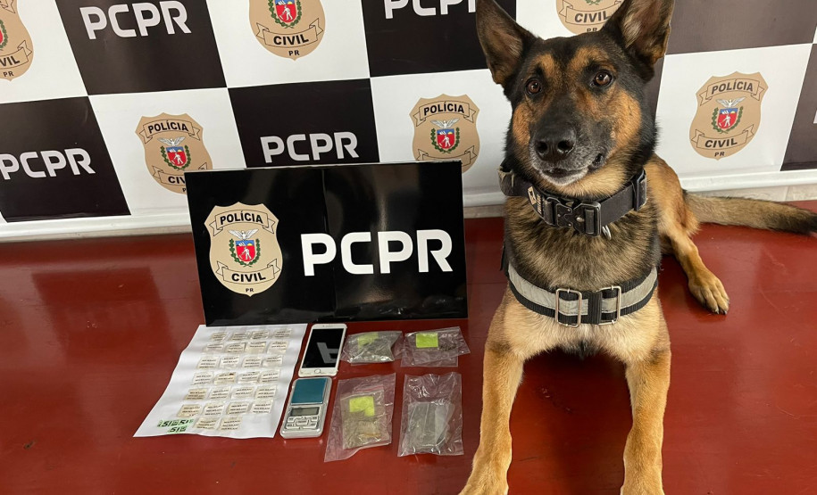 PCPR prende duas pessoas em flagrante por tráfico de drogas em Dois Vizinhos