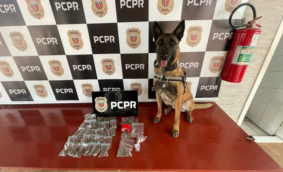 PCPR prende duas pessoas em flagrante por tráfico de drogas em Dois Vizinhos