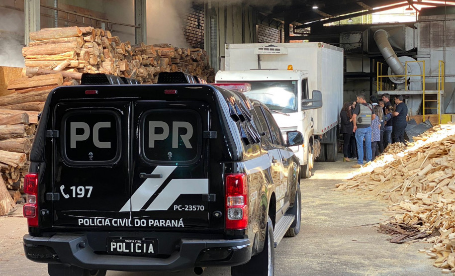 PCPR incinera 4,5 toneladas de drogas em Ponta Grossa