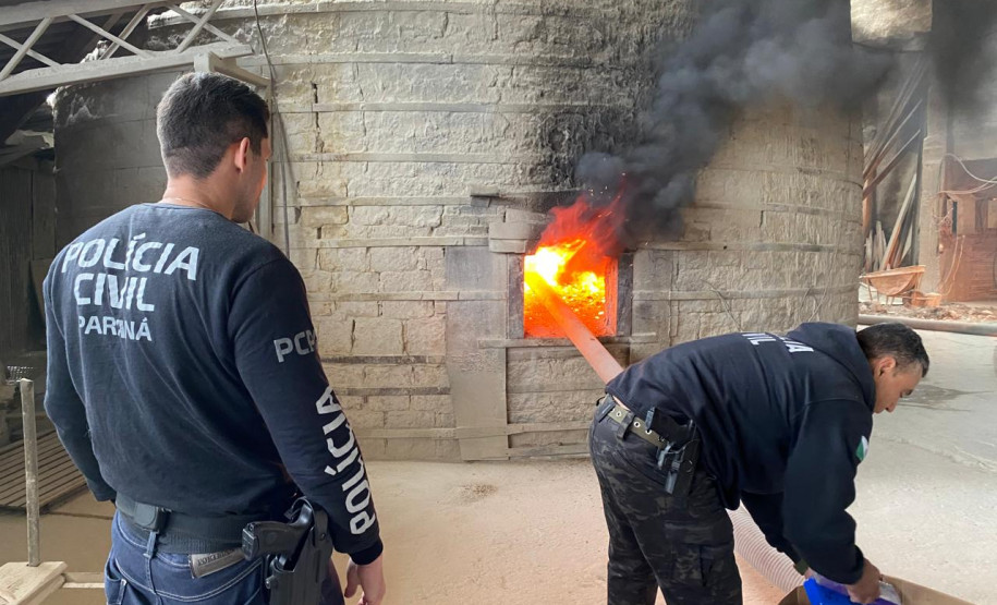 PCPR incinera 49 quilos de drogas em Colombo