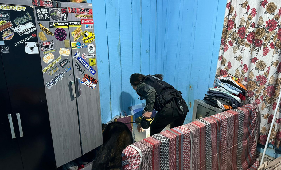 PCPR prende nove integrantes de organização criminosa ligada ao tráfico de drogas e homicídios em Ortigueira