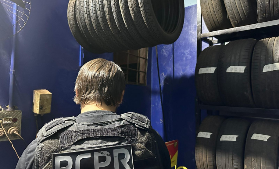 PCPR e Gaeco prendem dez integrantes de organização criminosa ligada ao tráfico de drogas em vários estados