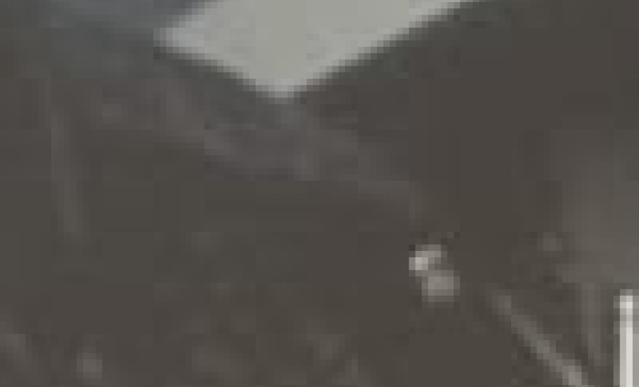 PCPR prende seis pessoas em operação contra o tráfico de drogas na região dos Campos Gerais