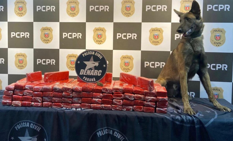 PCPR, PMPR e GM apreendem 211 quilos de maconha em São Luiz do Purunã