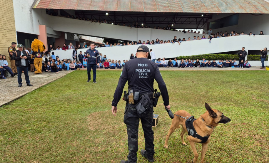 PCPR atende mais de 5,1 mil pessoas em ação de conscientização e prevenção ao uso de drogas no Paraná