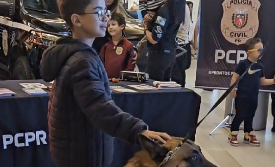 PCPR atende 1,2 mil pessoas em ação de conscientização e prevenção ao uso de drogas em Curitiba