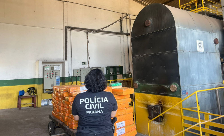 PCPR incinera 1 tonelada de maconha em Icaraíma