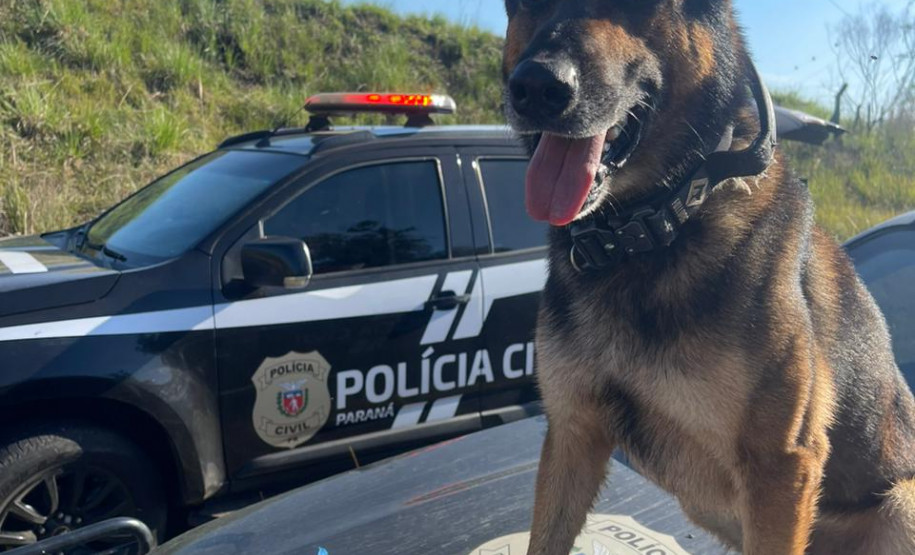 PCPR prende quatro homens em flagrante durante operação deflagrada em Curitiba