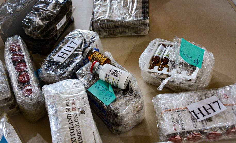 PCPR apreende carga de anabolizantes e estimulantes sexuais contrabandeados em Foz do Iguaçu