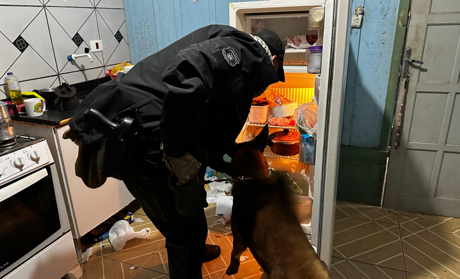 PCPR deflagra operação contra tráfico de drogas e comércio ilegal de armas em Teixeira Soares