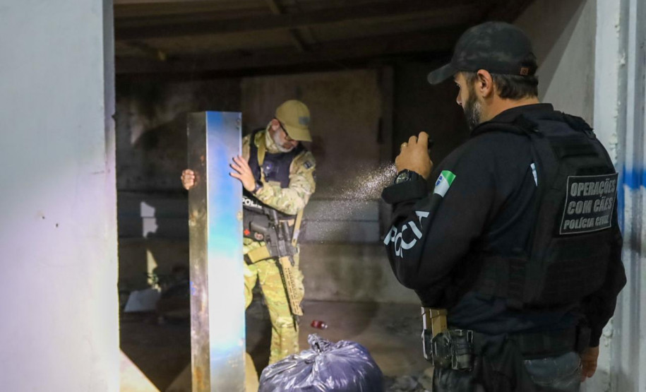 PCPR e PMPR apreendem 1,1 tonelada de maconha durante operação em Cascavel