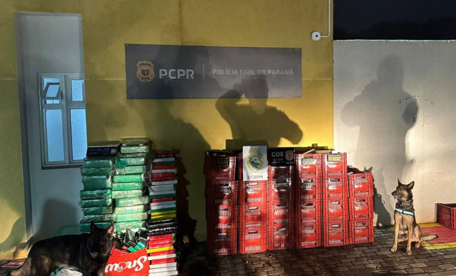 PCPR e PMPR apreendem 1,1 tonelada de maconha durante operação em Cascavel