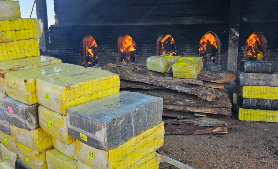PCPR incinera 4 toneladas de drogas em São José dos Pinhais