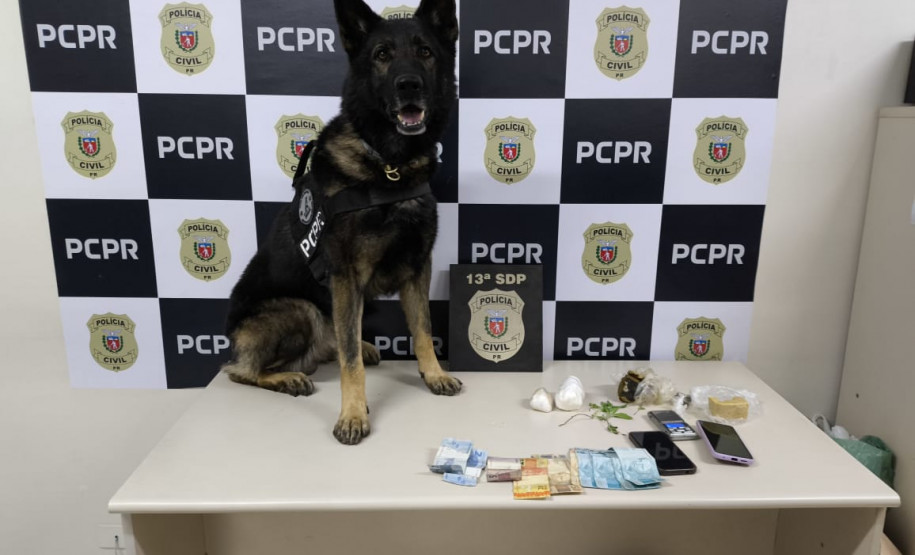 PCPR prende mulher em flagrante por tráfico de drogas em Ponta Grossa