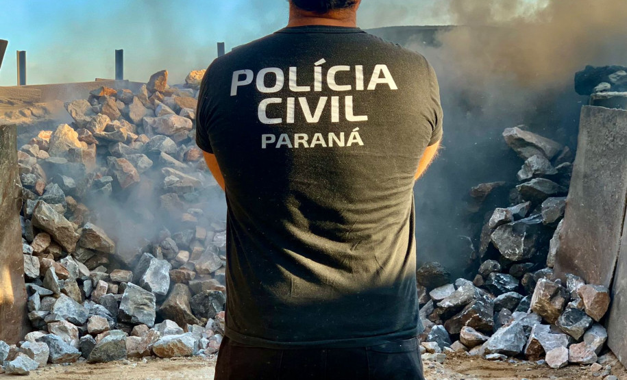 PCPR incinera três toneladas e mil pés de maconha em Campina Grande do Sul