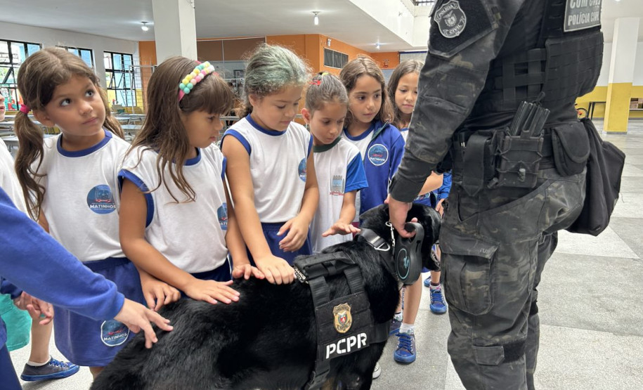 PCPR comemora 13 anos de atuação do Núcleo de Operações com Cães