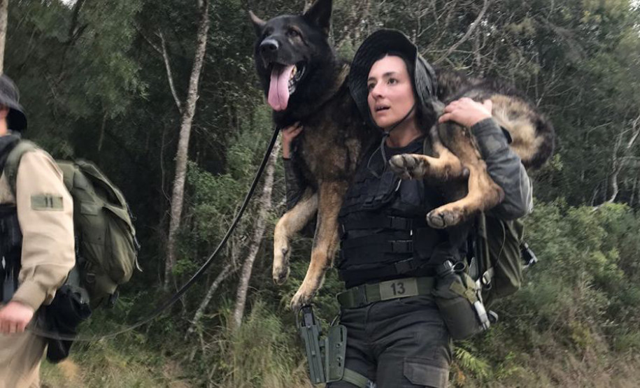 Policiais civis se formam no curso Condutores de Cães de Guerra da Força Aérea Brasileira