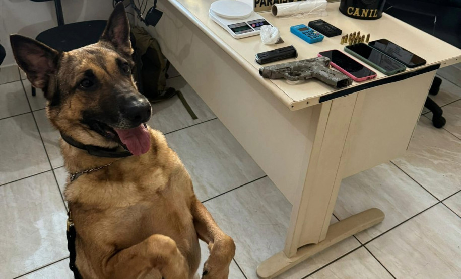 PCPR e PMPR apreendem drogas e arma durante ação em Paraíso do Norte