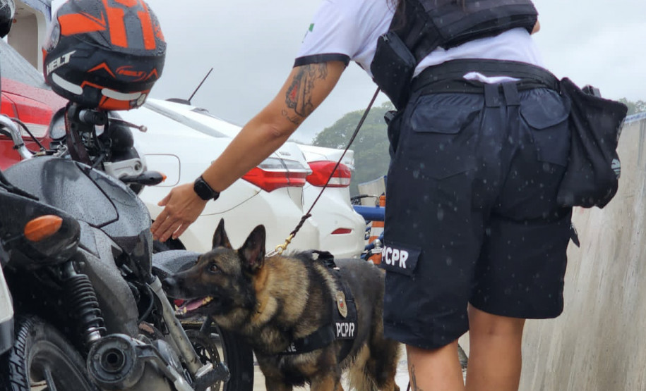 PCPR comemora 13 anos de atuação do Núcleo de Operações com Cães