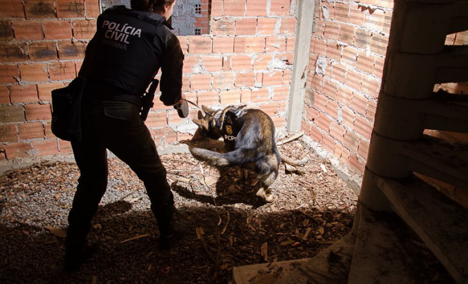 PCPR comemora 13 anos de atuação do Núcleo de Operações com Cães