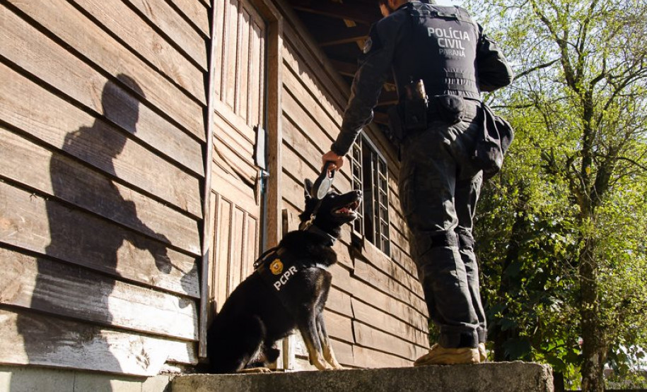 PCPR comemora 13 anos de atuação do Núcleo de Operações com Cães