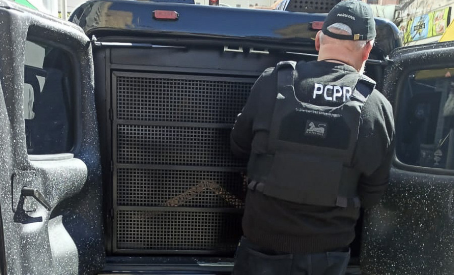 PCPR prende homem foragido por furto e ato libidinoso contra menor de idade  em Curitiba