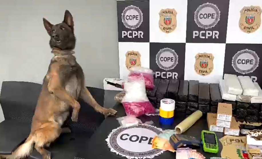 PCPR e PCSC prendem mulher em flagrante por tráfico de drogas em Curitiba