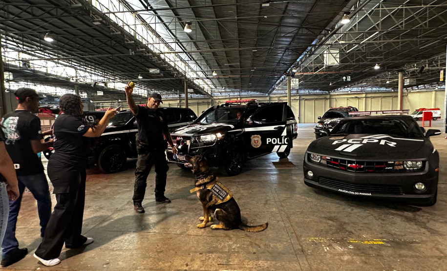 Cristiane Cardoso/PCPR