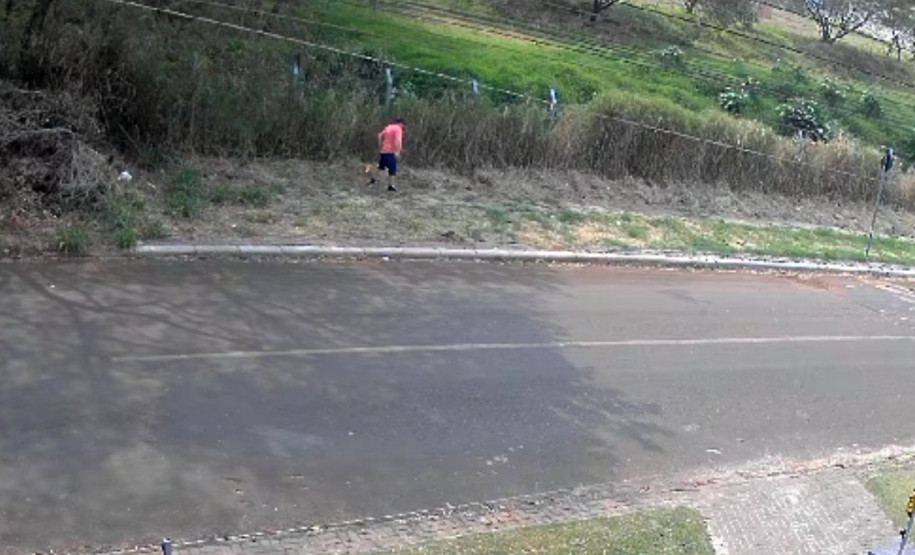 PCPR prende homem por crime ambiental ao colocar fogo em vegetação em Cascavel