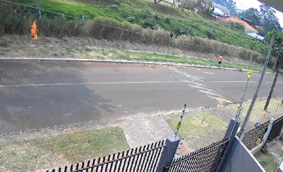 PCPR prende homem por crime ambiental ao colocar fogo em vegetação em Cascavel