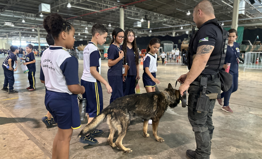 Gabrielle Sversut/PCPR