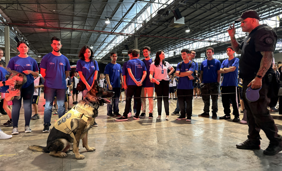 Gabrielle Sversut/PCPR