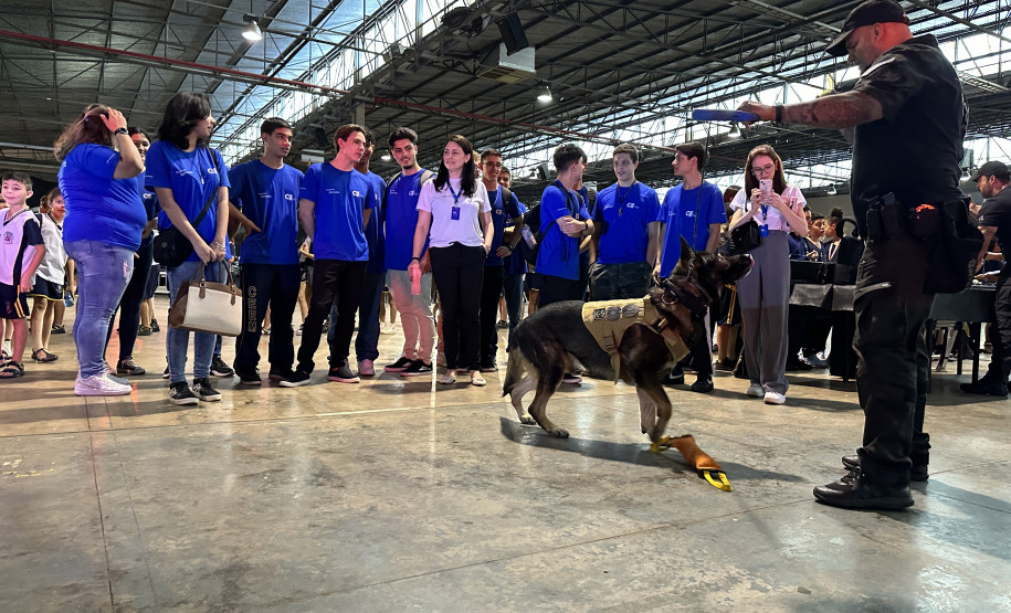 Gabrielle Sversut/PCPR